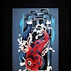 Koi