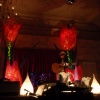 Tulip stage