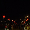 tulips at bestival