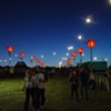 bestival tulips