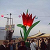 giant flowers in cornwall