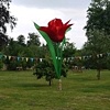 tulips -private party