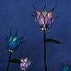 giant blue tulips