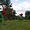 giant tulips - private party