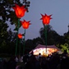 feast of dorset