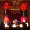 Tulip stage