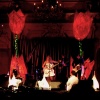 Stage Tulips