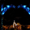 bluebell gate