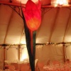 Tulip lantern flower decoration