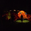community arts projects