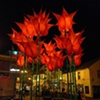 free standing tulips