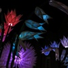 Light Garden