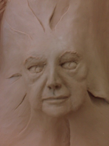 Walking with Time-closeup Rose