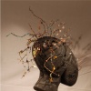 Head Dreams, back