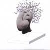 Head Dreams, concept drawing for finishing