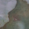 Under the Sea-closeup3