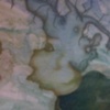 Under the Sea-closeup2