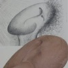Head Dreams, clay1