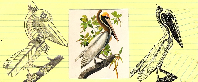 allison hester audubon pelican robot robotic drawings