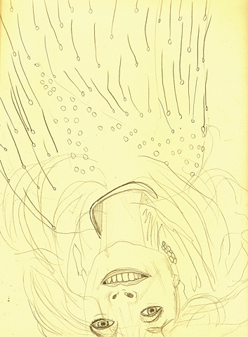 Allison Hester Dolly Parton Upside Down