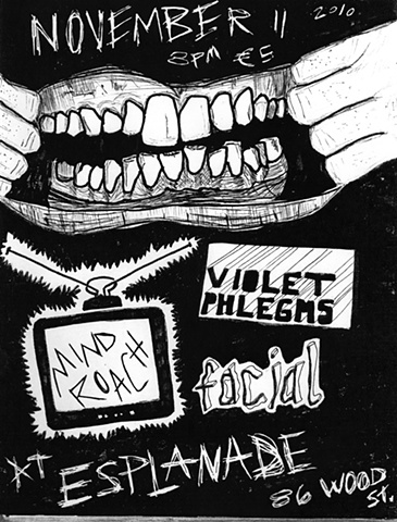 Allison Hester Punk Flyer Never Records Ted Riederer
