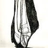 Towel