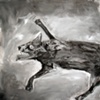 Black Wolf