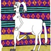 Pony Lady