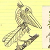 Robotic Pelican