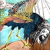 Allison Hester & Eve Krawiec | "Ford Pearlbird"