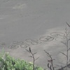 Piha Beach, NZ
