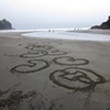 Piha Beach, NZ
