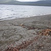 Te Anau, NZ

