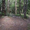 Wellington, Eastbourne, NZ

