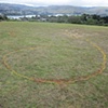 Porirua, NZ

