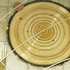 Arc of Nature, detail