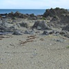 Wellington, Princess Bay, NZ
