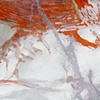 Escupir