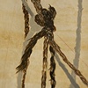 Supported Tuft (detail)