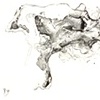 Division from the source.