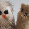 owl and the pussycat