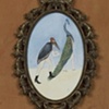 The Plumage Pursuer 