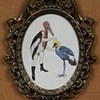 Plucking