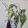 tarantula hawk and green hoods