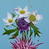 anemones