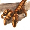 Treebird
