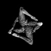 Abstract Figure Study Series 2007