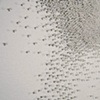 Eclipse Detail