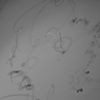 Out on a Whim (wire detail)