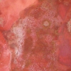 Jack Splat 4 (detail)
